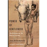 Power of Gentleness by Dufourmantelle, Anne; Payne, Katherine; Sall, Vincent; Malabou, Catherine, 9780823279586