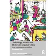 Technology, Gender and History in Imperial China: Great Transformations Reconsidered by Bray; Francesca, 9780415639590