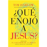 Qu enoj a Jess?/ What Made Jesus Mad? by Harlow, Tim, 9781418599591
