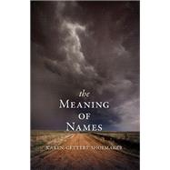 The Meaning of Names by Shoemaker, Karen Gettert, 9781597099592