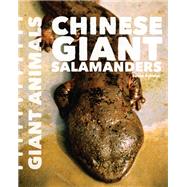 Chinese Giant Salamanders by Schafer, Susan, 9781627129602