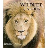 Wildlife of Africa by Hoberman, Gerald, 9781919939612
