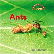 Ants by Trueit, Trudi Strain, 9780761439615
