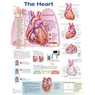 The Heart by Anatomical Chart Company, 9781496369628