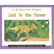 Lost in the Forest by Randell, Beverley, 9780763519643