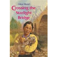 Crossing the Starlight Bridge by Mead, Alice, 9781416989646