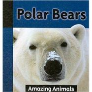 Polar Bears by De Medeiros, Michael, 9781590369647