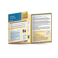 Trauma Essentials: A Mental Health Quick Reference Guide A Mental Health Quick Reference Guide by Cozolino, Louis, 9781324019657