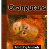 Orangutans by De Medeiros, Michael, 9781590369661
