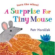 A Surprise for Tiny Mouse by Horacek, Petr; Horacek, Petr, 9780763679675