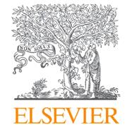 SP 2024 BSN NUR 2200/2300 Nursing Fundamentals I by Elsevier Custom Package, 9780443319686