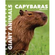 Capybaras by Schafer, Susan, 9781627129695