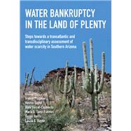 Water Bankruptcy in the Land of Plenty by Poupeau; Franck, 9781138029699