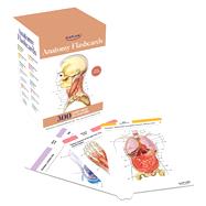 Anatomy Flashcards: 300 Flashcards with Anatomically Precise Drawings and Exhaustive Descriptions by McCann, Stephanie; Tillotson, Joanne, 9781506289717