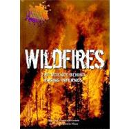 Wildfires by Silverstein, Alvin; Silvertein, Virginia; Nunn, Laura Silverstein, 9780766029736