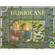 Hurricane by Wiesner, David, 9780395629741