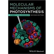 Molecular Mechanisms of Photosynthesis by Blankenship, Robert E., 9781405189750
