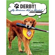 DERBY! - My Bodacious Life in Baseball by H.R. Derby Bat Dog of the Trenton Thunder (the Double-A Affiliate Team of the Yankees) by Derby, H.R.; Rabin, Staton, 9781631929762