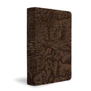 KJV Majestic Illuminated Bible (Brown LeatherLuxe) by Unknown, 9781546009771