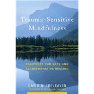 Trauma-Sensitive Mindfulness Practices for Safe and Transformative Healing by Treleaven, David A.; Britton, Willoughby, 9780393709780