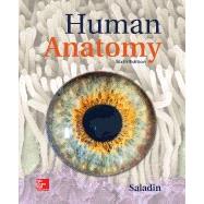 Loose Leaf for Saladin Human Anatomy by Saladin, Kenneth, 9781260399783
