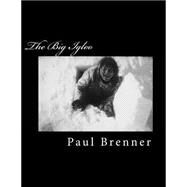 The Big Igloo by Brenner, Paul, 9781522739791