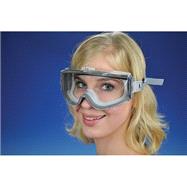 Uvex Safety Goggles (#AP7474) by Flinn Scientific, 8780000169809
