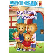 My Family Is Special by Testa, Maggie; Fruchter, Jason, 9781534469815