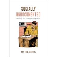 Socially Undocumented Identity and Immigration Justice by Reed-Sandoval, Amy, 9780190619817