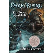Dark is Rising by Cooper, Susan, 9780689829833