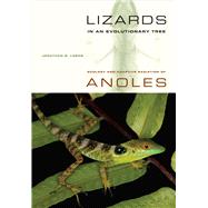 Lizards in an Evolutionary Tree by Losos, Jonathan B.; Greene, Harry W., 9780520269842