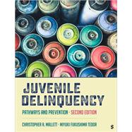 Juvenile Delinquency: Pathways and Prevention by Christopher A. Mallett; Miyuki Fukushima Tedor, 9781071979846