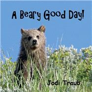 A Beary Good Day by Traub, Jodi, 9781098369859
