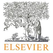 Nursing 101 Print and eBook Bundle (Owens Community College, Fall 2023) by Elsevier, 9780443209864