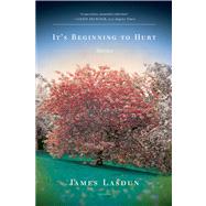 It's Beginning to Hurt Stories by Lasdun, James, 9780312429867