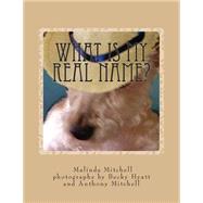 What Is My Real Name? by Mitchell, Malinda, 9781506019871