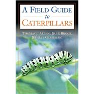 Caterpillars in the Field and Garden A Field Guide to the Butterfly Caterpillars of North America by Allen, Thomas J.; Brock, Jim P.; Glassberg, Jeffrey, 9780195149876