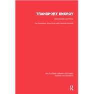 Transport Energy by Dunkerley, Joy; Hoch, Irving; Bouhdili, Caroline, 9781138309883