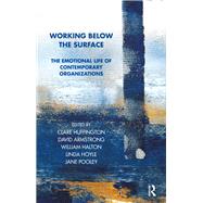 Working Below the Surface by Huffington, Clare; Halton, William; Armstrong, David; Pooley, Jane, 9780367329884