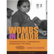 Wombs in Labor by Pande, Amrita, 9780231169905