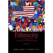 American Ethnicity : The Dynamics and Consequences of Discrimination by AGUIRRE ADALBERTO JR., 9780072319910