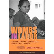 Wombs in Labor by Pande, Amrita, 9780231169912
