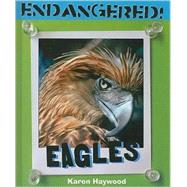 Eagles by Haywood, Karen, 9780761429913