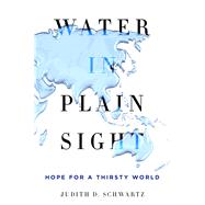 Water in Plain Sight Hope for a Thirsty World by Schwartz, Judith D., 9781250069917