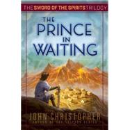The Prince in Waiting by Christopher, John, 9781481419925