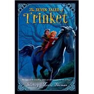 The Seven Tales of Trinket by Thomas, Shelley Moore, 9781250039941