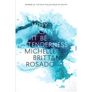 Why Can't It Be Tenderness by Rosado, Michelle Brittan, 9780299319946