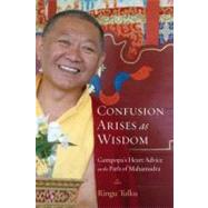 Confusion Arises as Wisdom Gampopa's Heart Advice on the Path of Mahamudra by TULKU, RINGU, 9781590309957