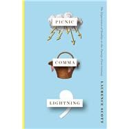 Picnic Comma Lightning The Experience of Reality in the Twenty-First Century by Scott, Laurence, 9780393609974
