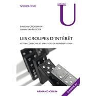 Les groupes d'intrt by Emiliano Grossman; Sabine Saurugger, 9782200259983